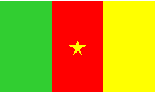 flag of Cameroon