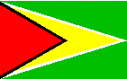 flag of Guyana