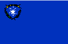 flag of Nevada